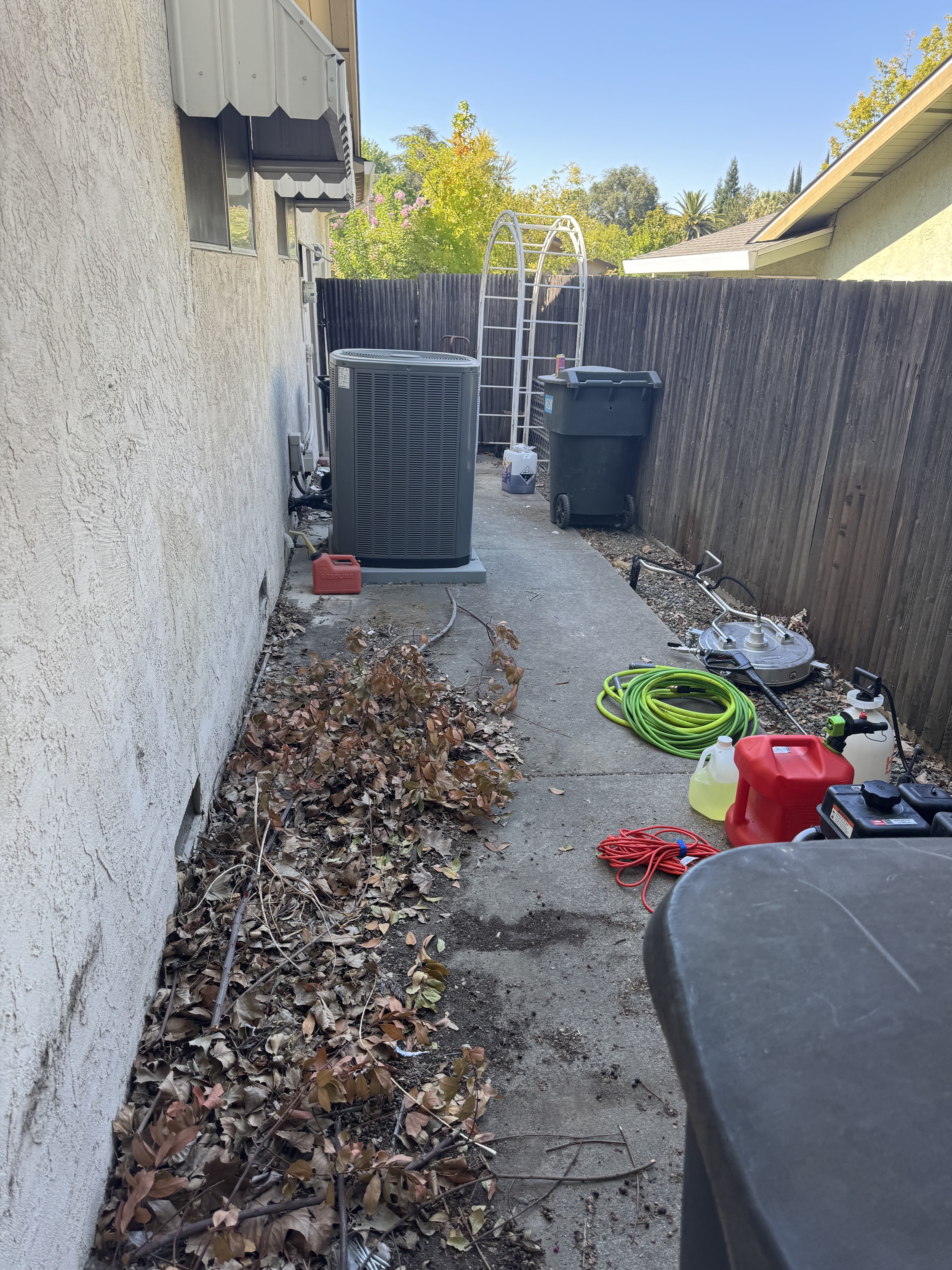 Side yard area before cleaning