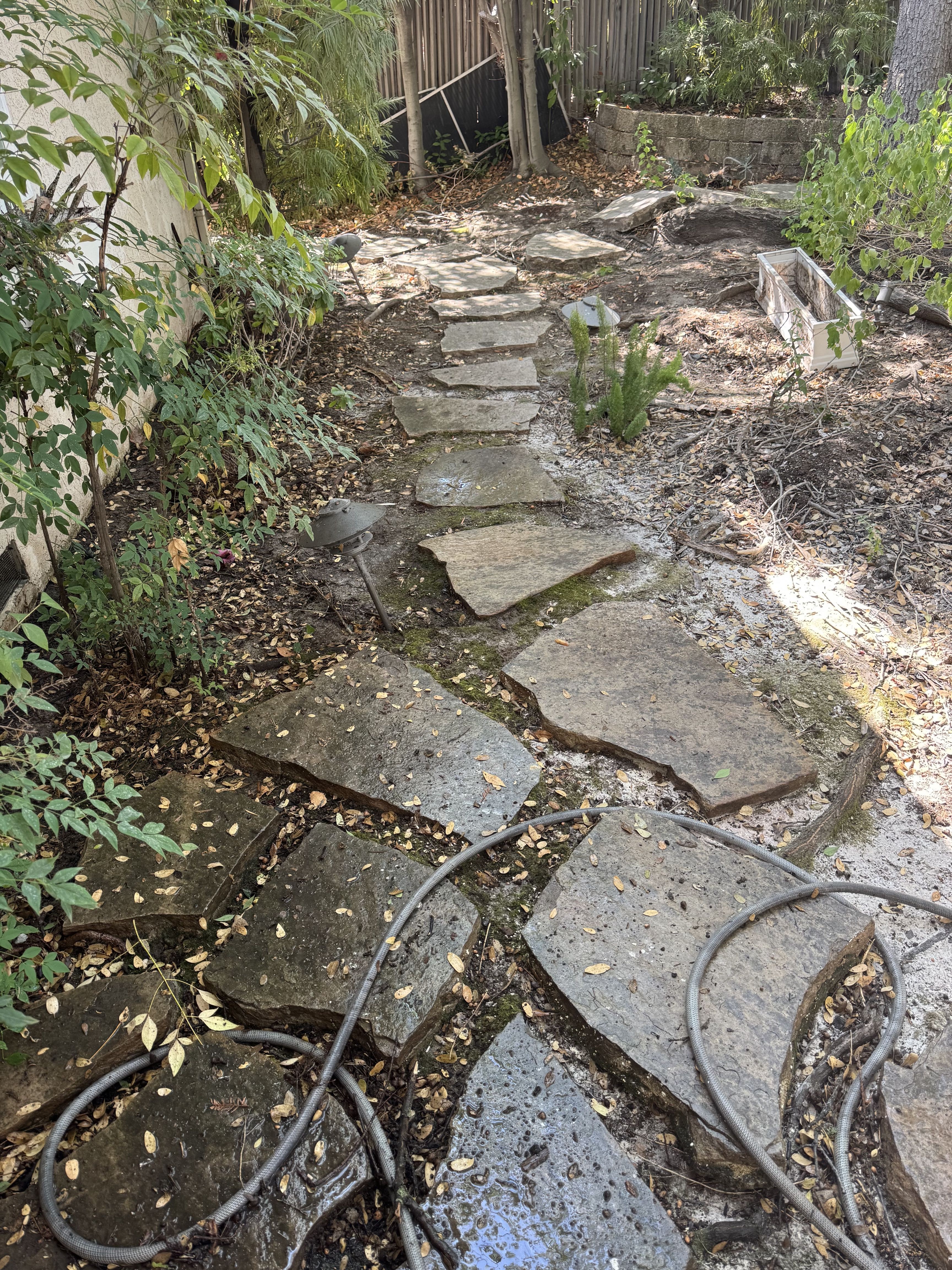 Side yard after cleaning