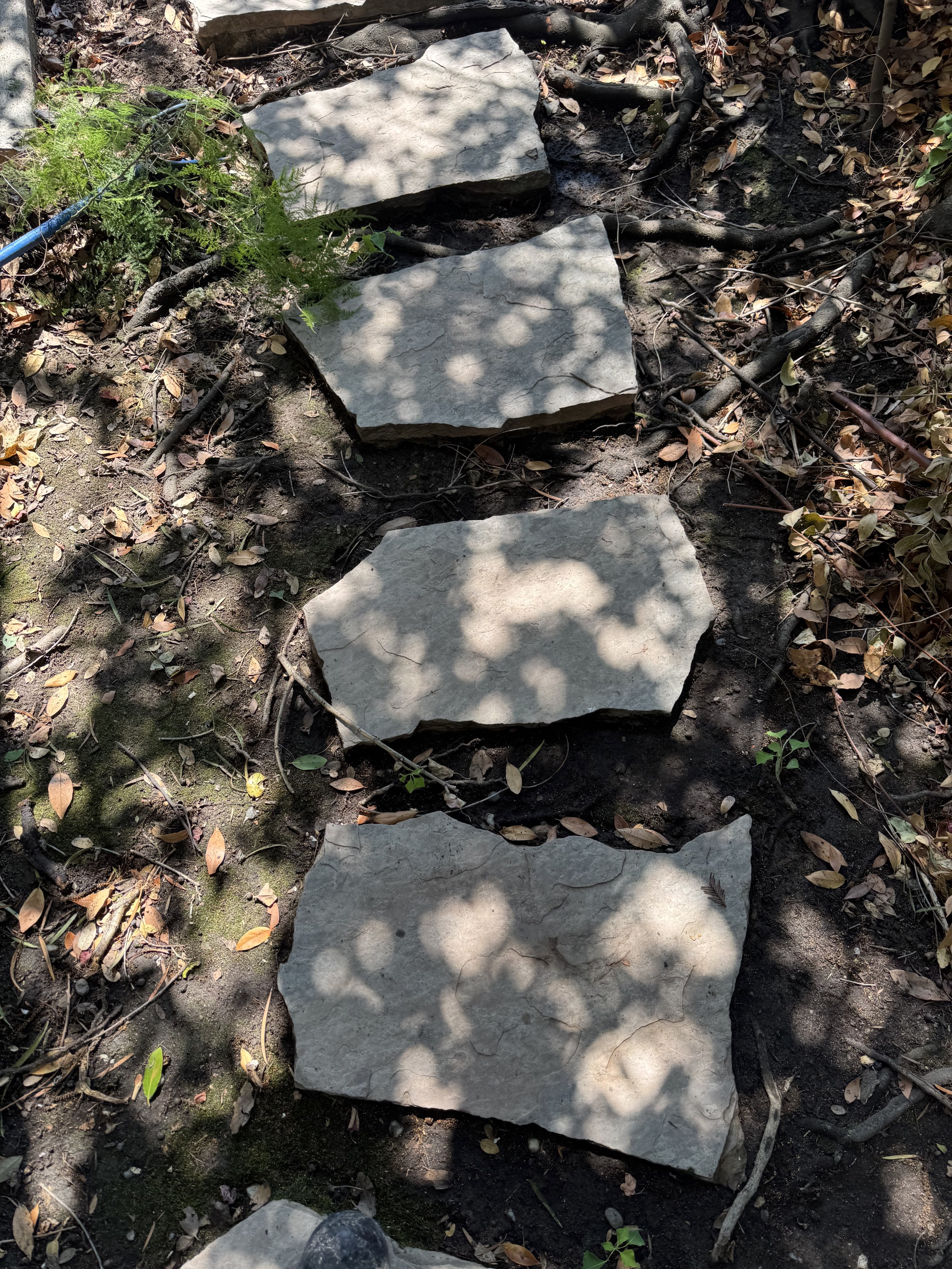 Walkway after cleaning